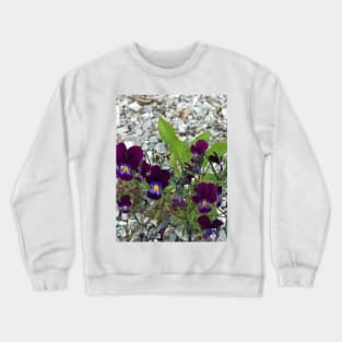 Violets and Gravel Crewneck Sweatshirt